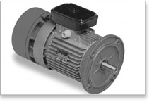 MGM-VARVEL Gear Motor - BA Series B5 Motor